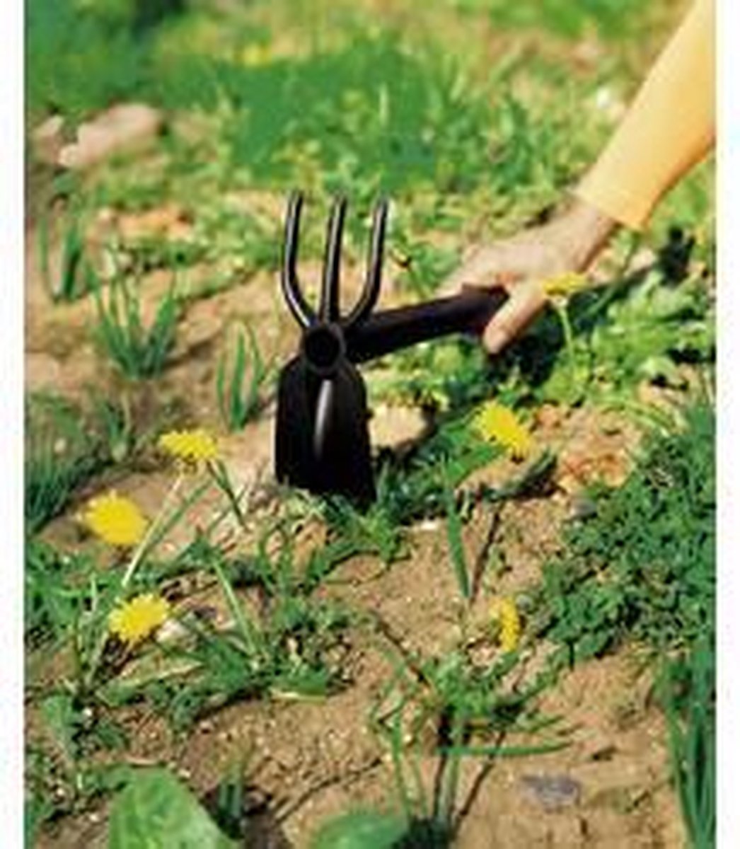 Fiskars Hoe