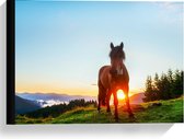 Canvas  - Paard op Hoge Berg met Ondergaande Zon - 40x30cm Foto op Canvas Schilderij (Wanddecoratie op Canvas)