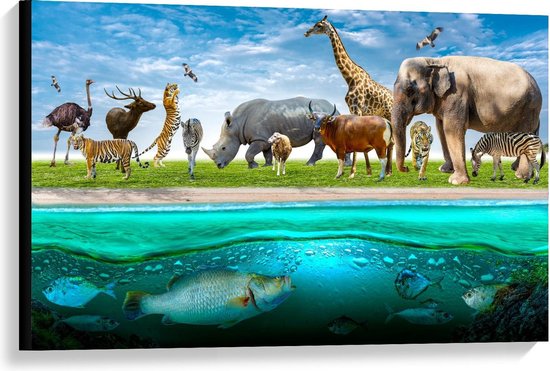 Canvas  - Verschillende Dieren ter Land en Water - 90x60cm Foto op Canvas Schilderij (Wanddecoratie op Canvas)