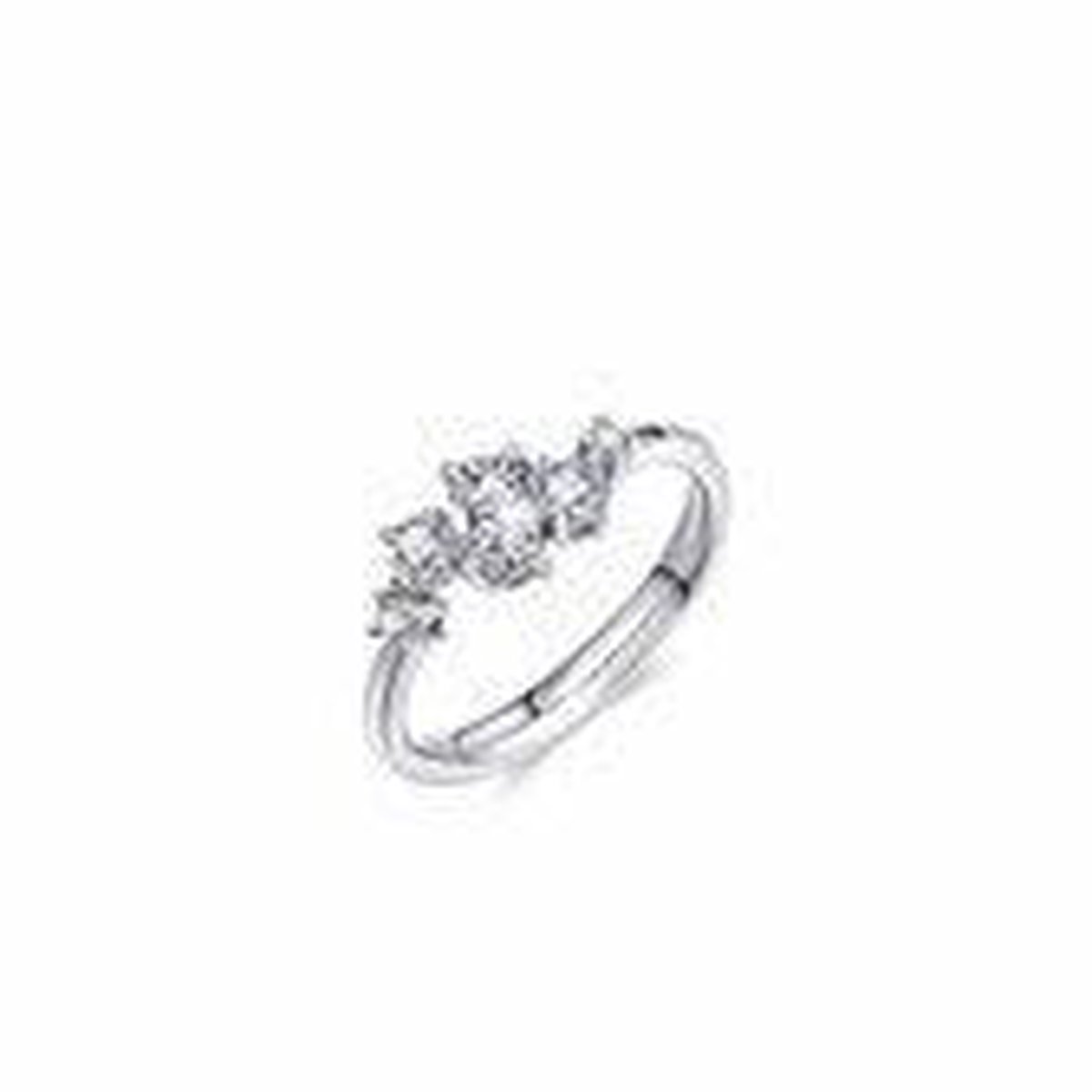Gisser Jewels Zilver Ring Zilver R443 - R443-54 - Sieraad