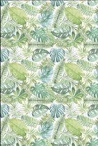 Cadeaupapier Bladeren Tropical leaves- Breedte 40 cm - 200m lang