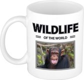 Chimpansee aap mok met dieren foto wildlife of the world