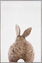 JUNIQE - Poster met kunststof lijst Konijnenstaart kleurenfoto -20x30