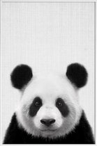 JUNIQE - Poster in kunststof lijst Panda zwart-wit foto -60x90 /Grijs