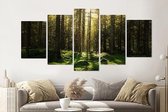 Schilderij -Magisch bos, groen,   5 luik, 200x100cm, Premium print