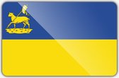 Vlag gemeente Velsen - 70 x 100 cm - Polyester