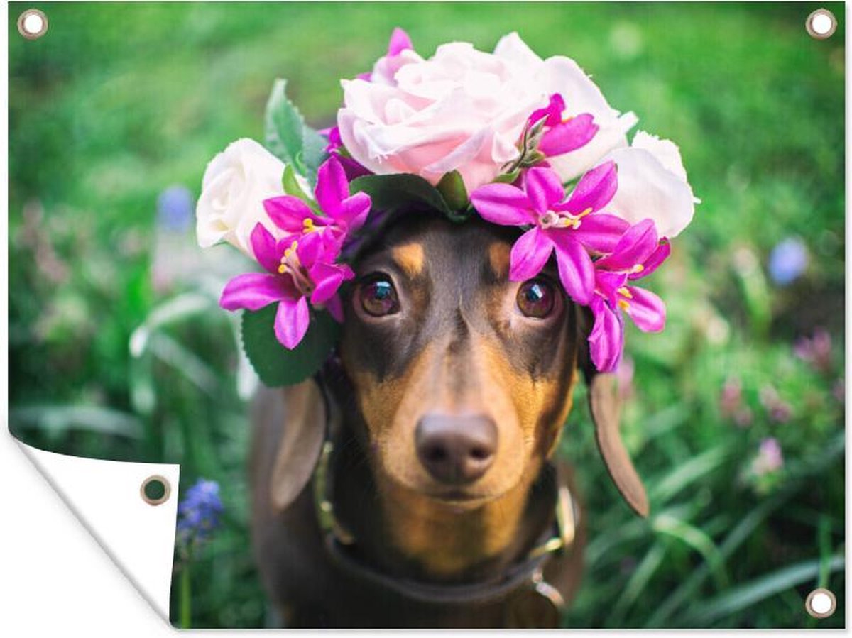 Peint mural Schnauzer couronné de fleurs pour un intérieur enchanteur
