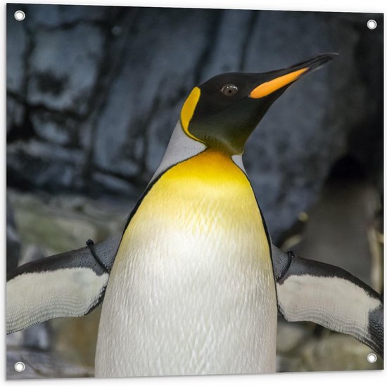 Tuinposter – Geel met Zwarte Pinguïn  - 80x80cm Foto op Tuinposter  (wanddecoratie voor buiten en binnen)