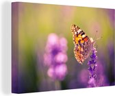 Canvas Schilderij Close-up vlinder in lavendelveld - 30x20 cm - Wanddecoratie
