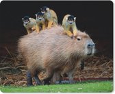 Muismat Capibara - Een Capibara met aapjes op zich muismat rubber - 23x19 cm - Muismat met foto