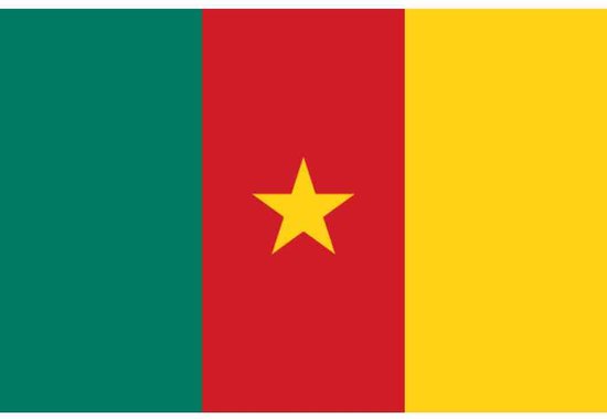 Drapeau Cameroun 90 x 150 cm Articles de fête - Articles de