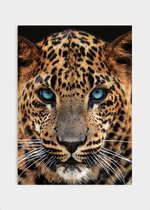 Poster Leopard Close-up - Papier - Meerdere Afmetingen & Prijzen | Wanddecoratie - Interieur - Art - Wonen - Schilderij - Kunst