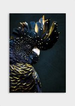 Poster Cockatoo ³ - Dibond - Meerdere Afmetingen & Prijzen | Wanddecoratie - Interieur - Art - Wonen - Schilderij - Kunst