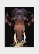 Poster Asian Elephant - Dibond - Meerdere Afmetingen & Prijzen | Wanddecoratie - Interieur - Art - Wonen - Schilderij - Kunst