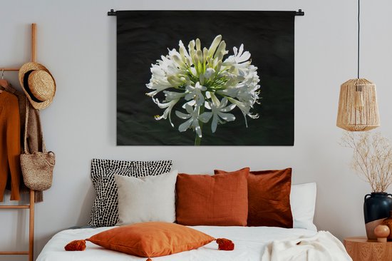 Tapisserie Plantes sur fond noir - Un agapanthe blanc en fleurs sur fond sombre Tapisserie en coton 150x112 cm - Tapisserie avec photo