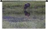 Wandkleed Drinkende beren - grizzly beer drinkt uit een meer Wandkleed katoen 120x80 cm - Wandtapijt met foto