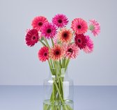 Bloom Makery - Creatieve Favoriet - Bloemen - Boeket - 18 Gerbera's