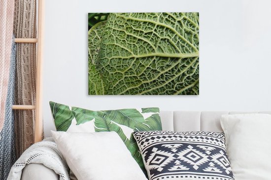 Les veines de la feuille dans un chou vert Toile 40x30 cm - petit - Tirage photo sur toile (Décoration murale salon / chambre)