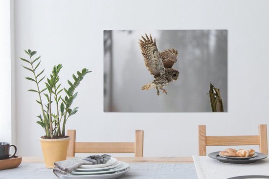 Tawny Owl atterrira sur un poteau Toile 90x60 cm - Tirage photo sur toile (Décoration murale salon / chambre)