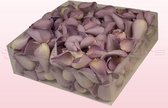 Rozenblaadjes | 100% natuurlijk | Lavendel | 2 liter