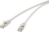 Renkforce RF-4259490 RJ45 Netwerkkabel, patchkabel CAT 5e F/UTP 1.00 m Grijs Snagless 1 stuk(s)