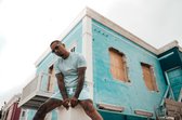 Malelions Thies Heren Short 2.0 - Maat L