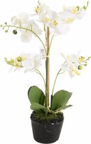 Kunstplant orchidee mini wit  - 3 tak h38cm