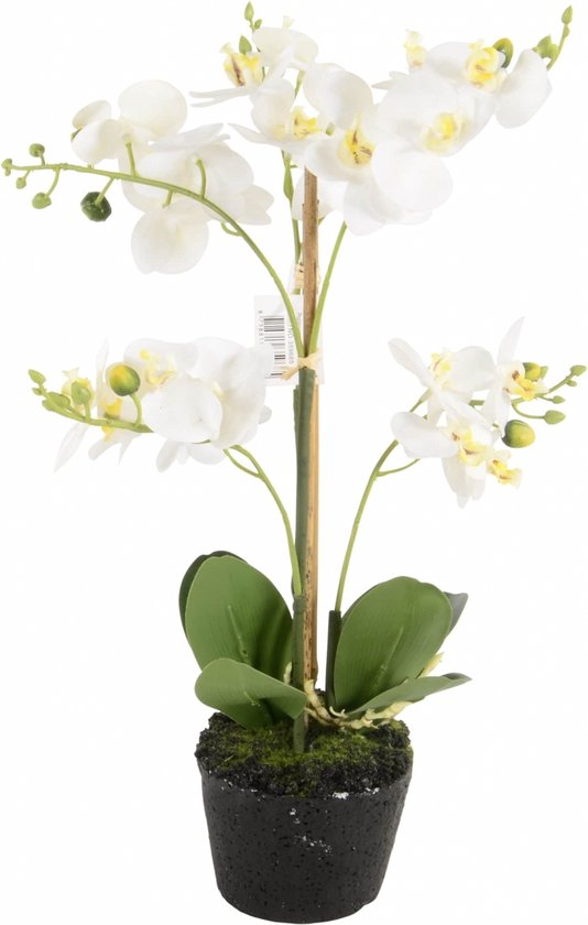 Orchidée artificielle mini blanche - 3 branches h38cm