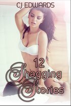 Collections - 12 Shagging Stories