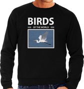 Dieren foto sweater zilverreiger - zwart - heren - birds of the world - cadeau trui zilvereigers vogel liefhebber S