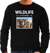 Dieren foto sweater Alpaca - zwart - heren - wildlife of the world - cadeau trui Alpaca's liefhebber M