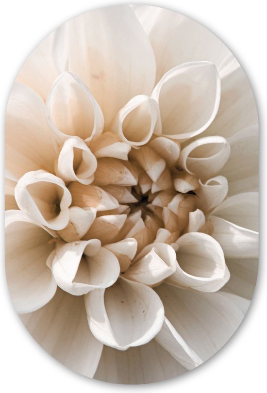 Muurovaal 40x60 cm - Wandovaal Bloemen - Wit - Natuur - Kunststof wanddecoratie - Ovalen schilderij - Muurdecoratie woonkamer - Schilderijen - Ovale spiegel vorm op kunststof