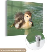 MuchoWow® Glasschilderij 160x120 cm - Schilderij acrylglas - Kuiken - Eend - Bruin - Foto op glas - Schilderijen