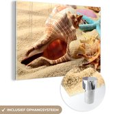 Glasschilderij - Foto op glas - Strand - Zee - Zeesterren - Schelpen - Glasplaat - Wanddecoratie - Acrylglas - Glasschilderij strand - Acrylplaat - 120x80 cm - Muurdecoratie - Schilderijen woonkamer