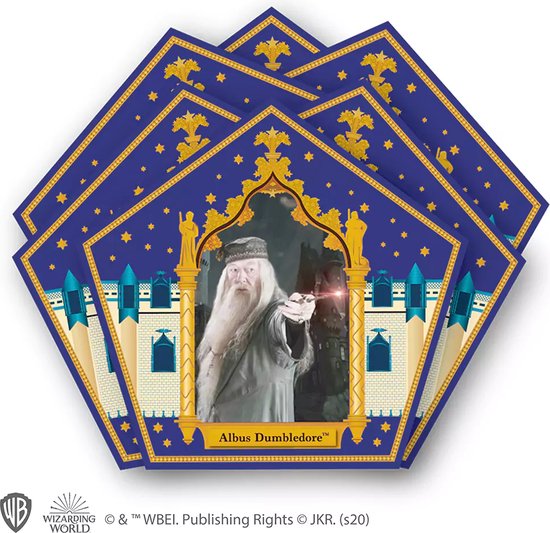 Harry Potter Chocolate Frog Mold - Met 6 DIY boxen en 12 Wizard