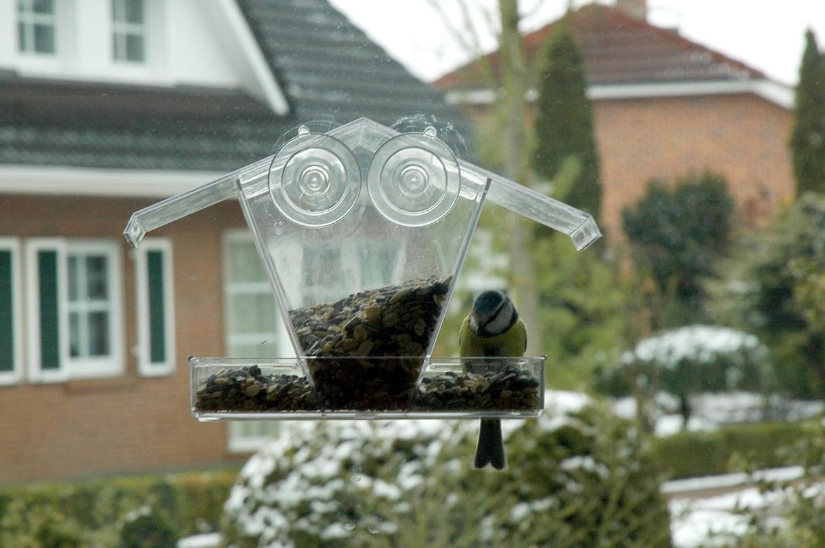 Mangeoire à oiseaux avec ventouses à suspendre à la fenêtre, verre acrylique