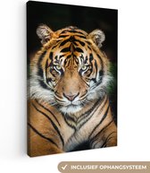 Schilderij tijger - Roofdier - Tijger - Close-up - Tijger canvas - Foto op canvas - Canvas print - Wanddecoratie - 60x90 cm
