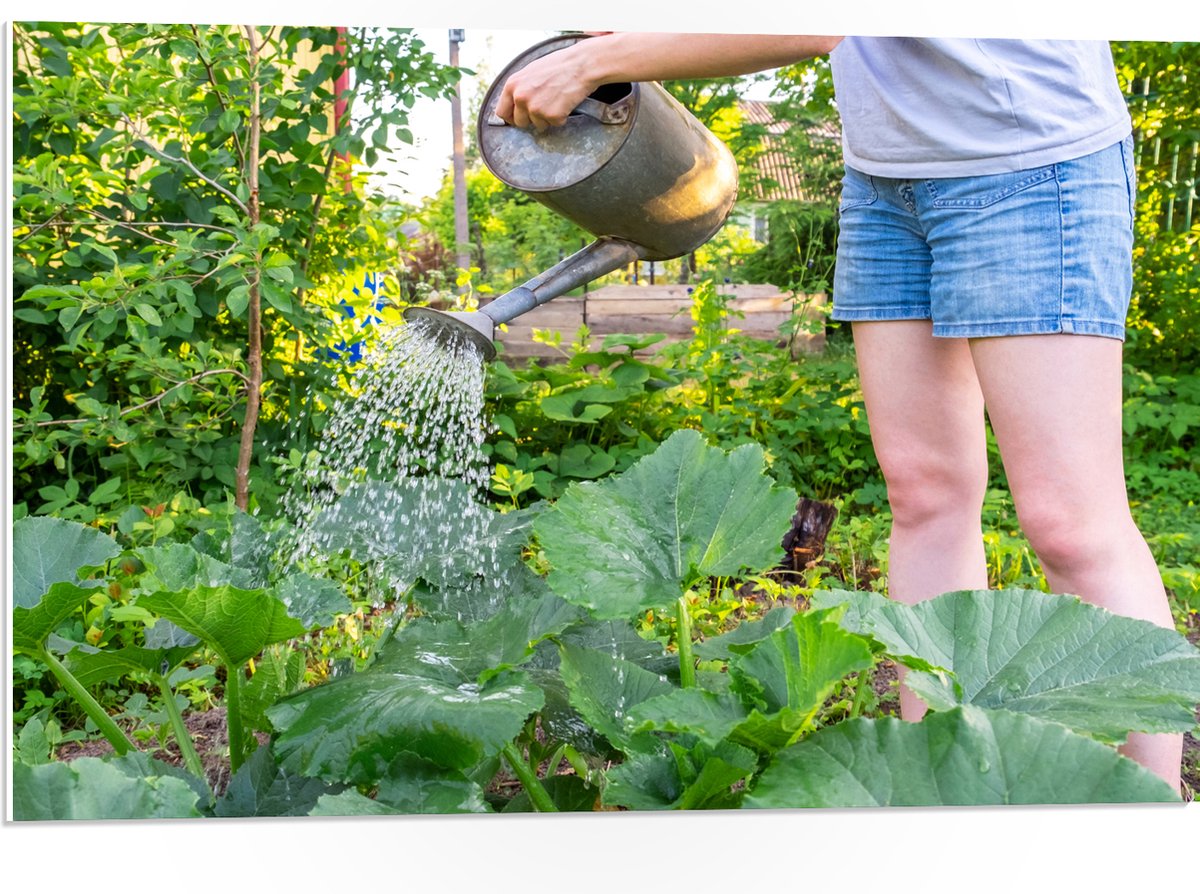 PVC Schuimplaat- Tuin - Bloemen - Planten - Gieter - Water - Groen - 75x50 cm Foto op PVC 