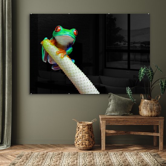 MuchoWow® Peinture sur verre 180x120 cm - Peinture sur verre acrylique - Grenouille - Animaux - Plante - Photo sur verre - Peintures
