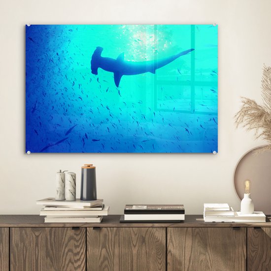 Peinture sur verre MuchoWow® 60x40 cm - Peinture acrylique sur verre - Shark -marteau (Sphyrna mokarran) parmi les poissons - Photo sur verre - Peintures