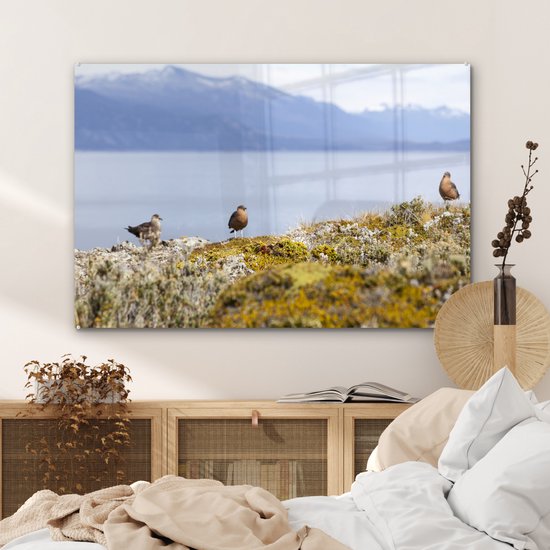 Vogels dans le parc national de la Terre de Feu avec des montagnes enneigées en arrière-plan Plexiglas 120x80 cm - Tirage photo sur Glas (décoration murale en plexiglas)