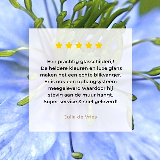 Une nigelle bleu clair en fleur Plexiglas 50x50 cm - Tirage photo sur Glas (décoration murale plexiglas)