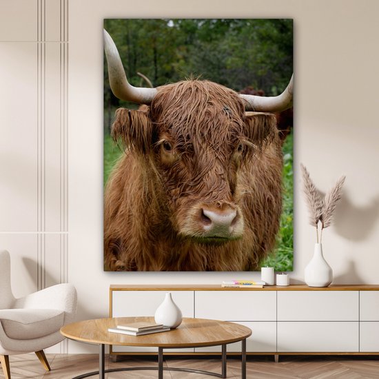 Tableau sur toile Highlander écossais - Animaux - Herbe - 120x160 cm - Décoration murale XXL