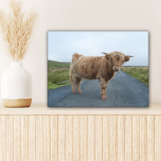 Tableau sur toile Scottish Highlander - Route - Herbe - 40x30 cm - Décoration murale