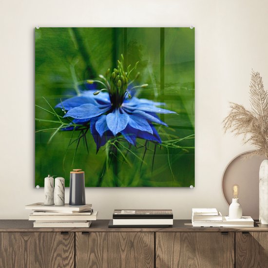 Peinture sur verre MuchoWow® 50x50 cm - Peinture acrylique sur verre - Une fleur de nigelle dans un environnement verdoyant - Photo sur verre - Peintures