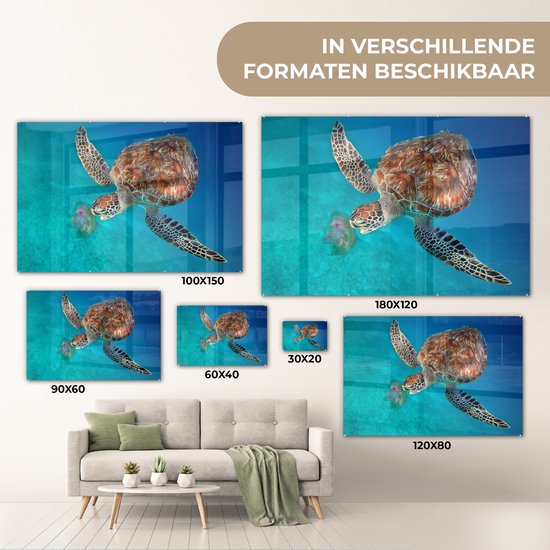 Peinture sur verre - Tortue verte avec méduse - 180x120 cm - Peintures Plexiglas