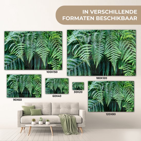 Peinture sur Verre - Fougères Vertes - 60x40 cm - Peintures sur Verre Peintures - Photo sur Glas