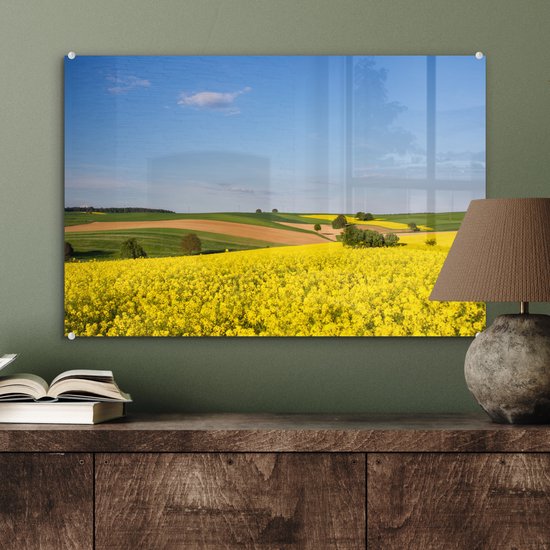 MuchoWow® Peinture sur verre 60x40 cm - Peinture sur verre acrylique - Printemps - Fleurs - Jaune - Photo sur verre - Peintures