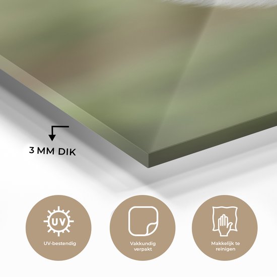 MuchoWow® Peinture sur verre 40x60 cm - Peinture sur verre acrylique - Lama - Animaux - Portrait - Photo sur verre - Peintures