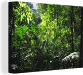 Canvas Schilderij Regenwoud Brazilie fotoprint - 120x90 cm - Wanddecoratie